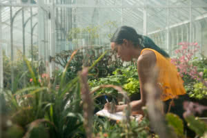 Student in Glasshouse